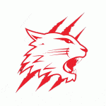 Swindon Ice Hockey